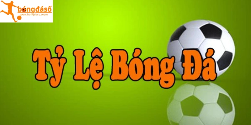 Lý do nên tham khảo tỷ lệ kèo tại Bongdaso